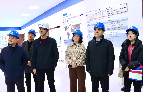 陽(yáng)光電源股份、宜賓智能制造行業(yè)協(xié)會(huì)、宜賓安徽商會(huì)調(diào)研遠(yuǎn)東電纜（宜賓）